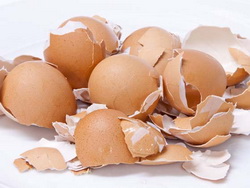 Польза яичной скорлупы: миф или реальность?