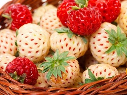Фрукты и ягоды – Клубника Пайнберри