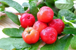 Фрукты и ягоды – Барбадосская вишня