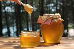 Используем мед для рассады