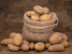 Игры с картофелем или как сохранить урожай