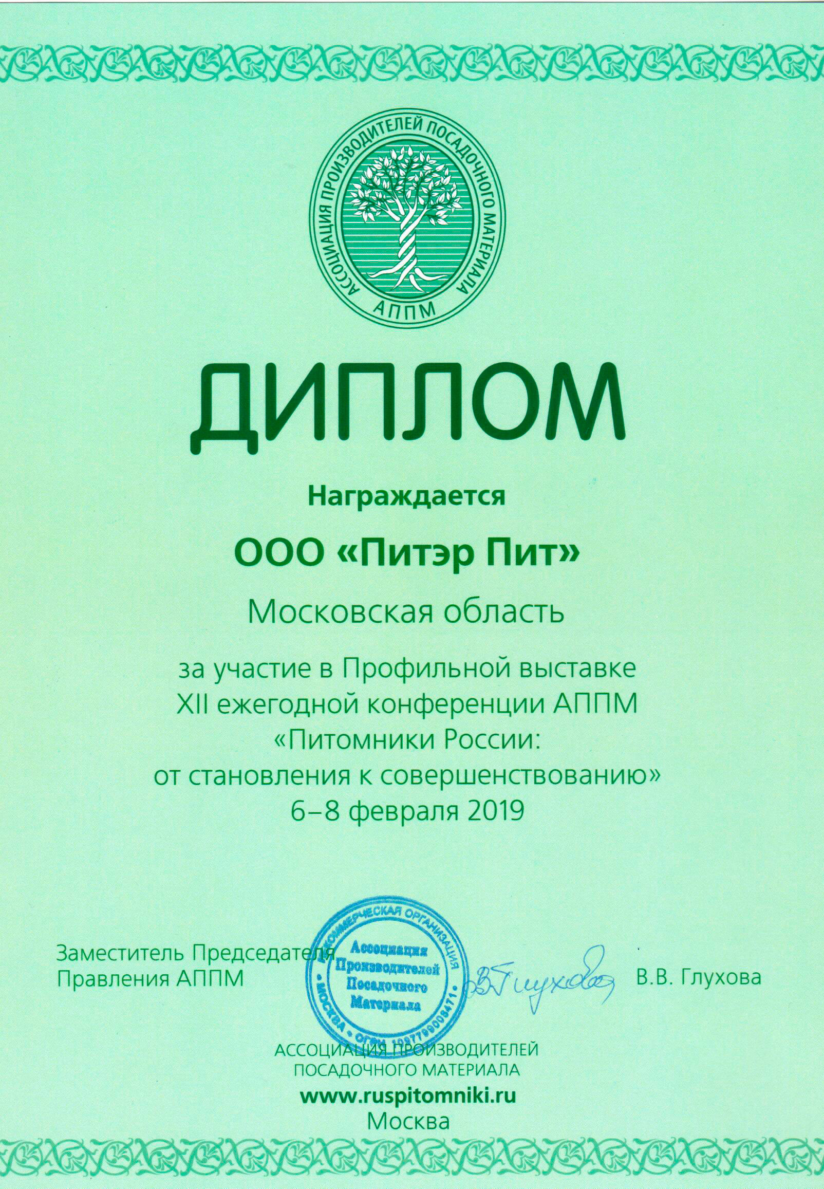 Диплом АППМ 2019